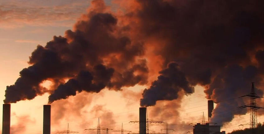 Video vom Papst September 2020