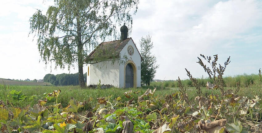 Boxbild Pilgern Inchenhofen 