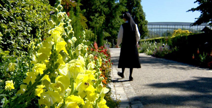 Boxbild_Lieblingsplätze im Bistum