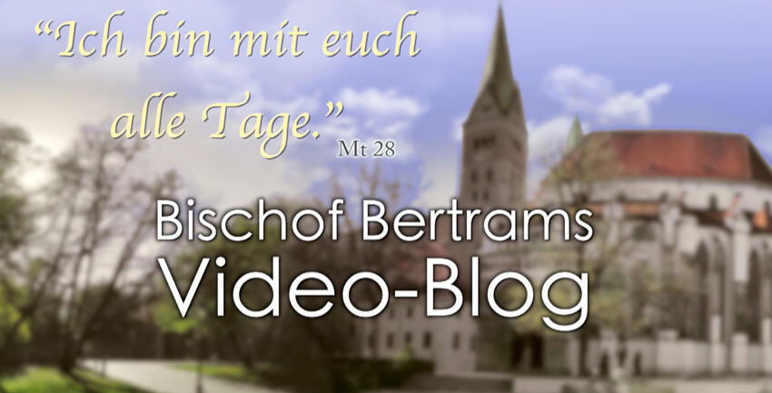 Boxbild Video-Blog