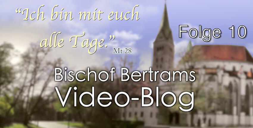 Boxbild_Vlog Folge 10