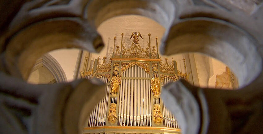 Boxbild_Domorgel
