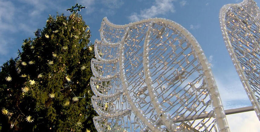 Boxbild_Die Geschichte dahinter