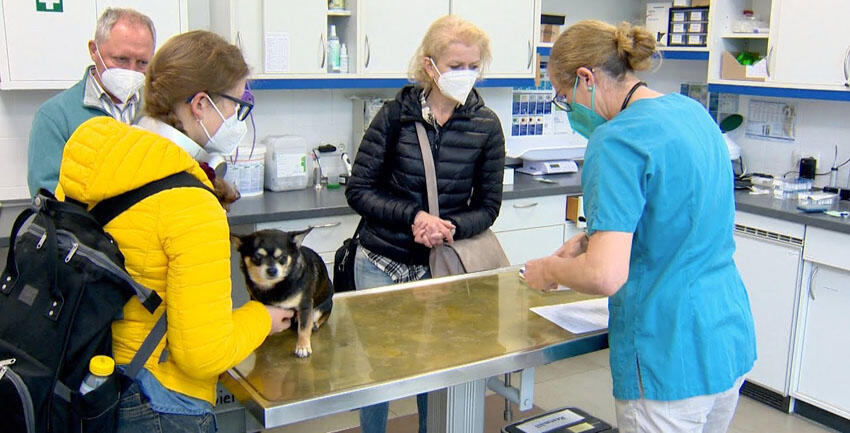 Spenden für Haustiere von Geflüchteten aus der Ukraine