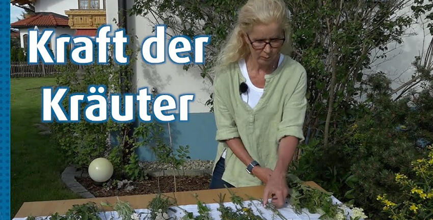 katholisch1.tv_Kräuterboschn binden