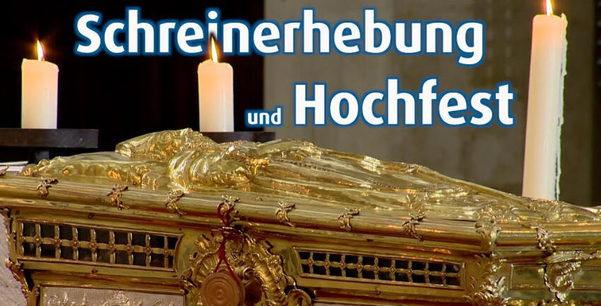 Video Schreinerhebung