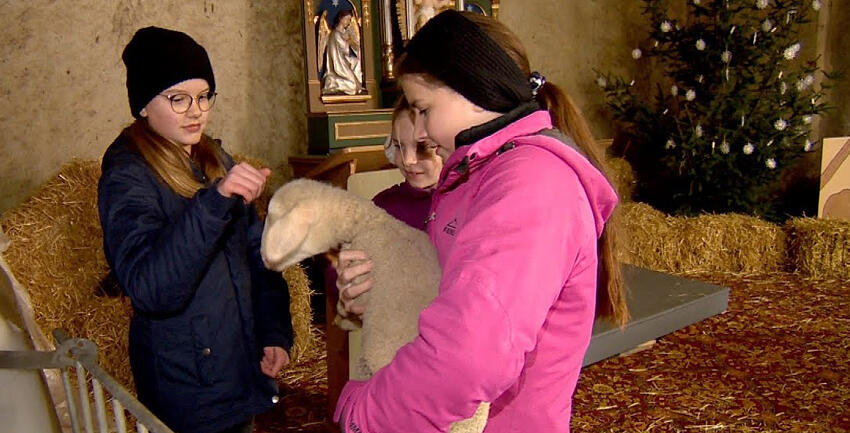 katholisch1-tv_weihnachten-im-stall-kleinerdlingen4412616