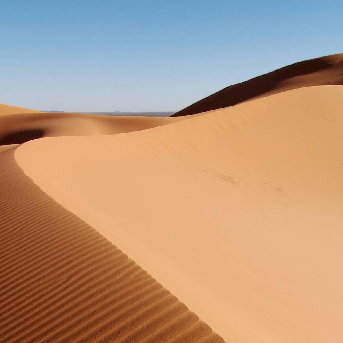 "Lasst euch in die Wüste schicken..." Adventsandachten zum Hirtenwort des Bischofs (Motivfoto: Wikimedia Commons)