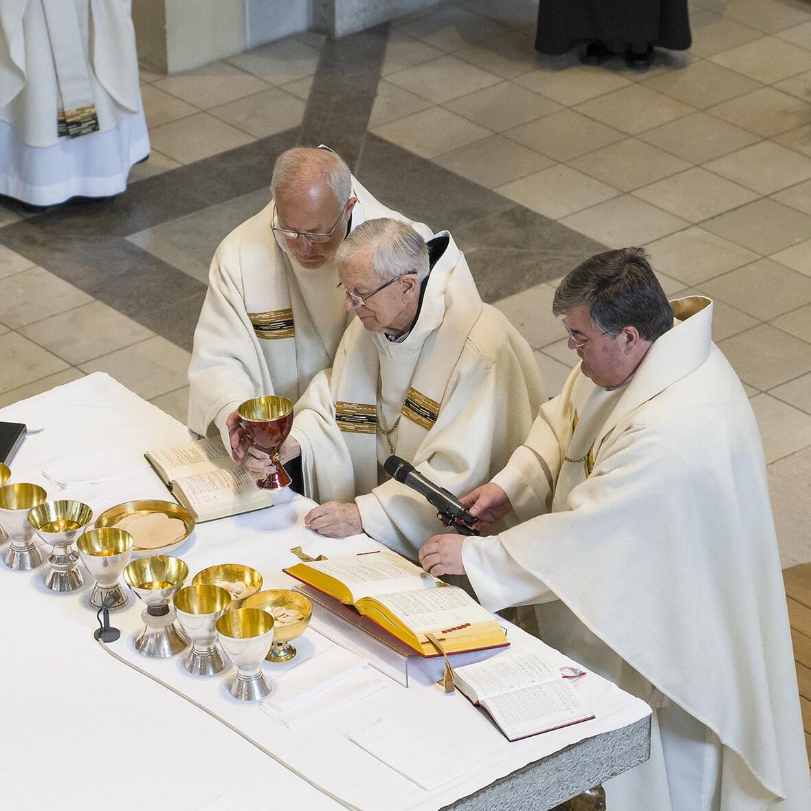 generalvikar-predigt-bei-dankgottesdienst3380921