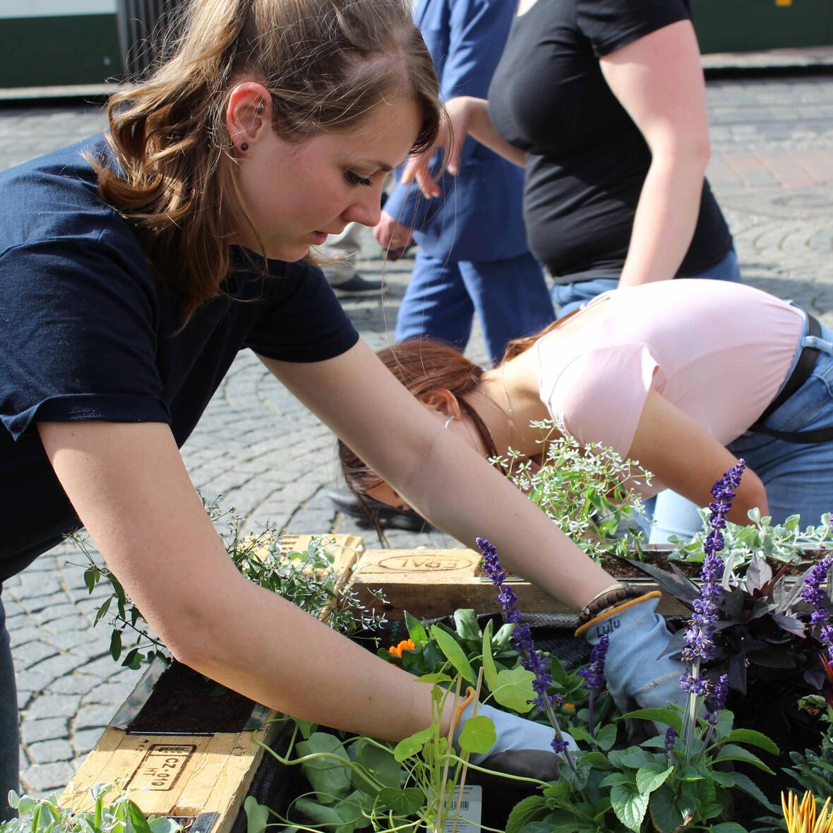 gebeet-auf-dem-moritzplatz3364180