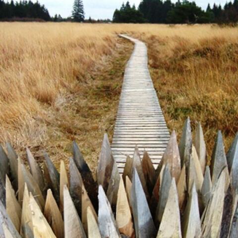 Foto: Jürgen Damen, in: Pfarrbriefservice.de