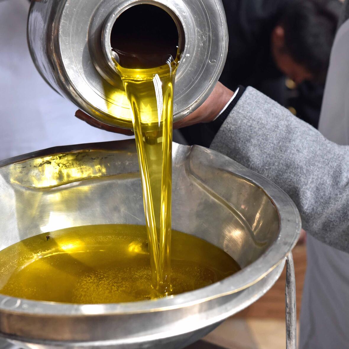 chrisam-messe-christen-sind-gesalbte-gottes1669463