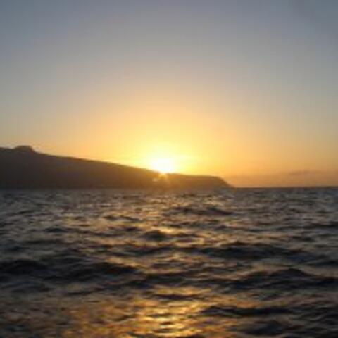 Foto: Konstanze Weimer