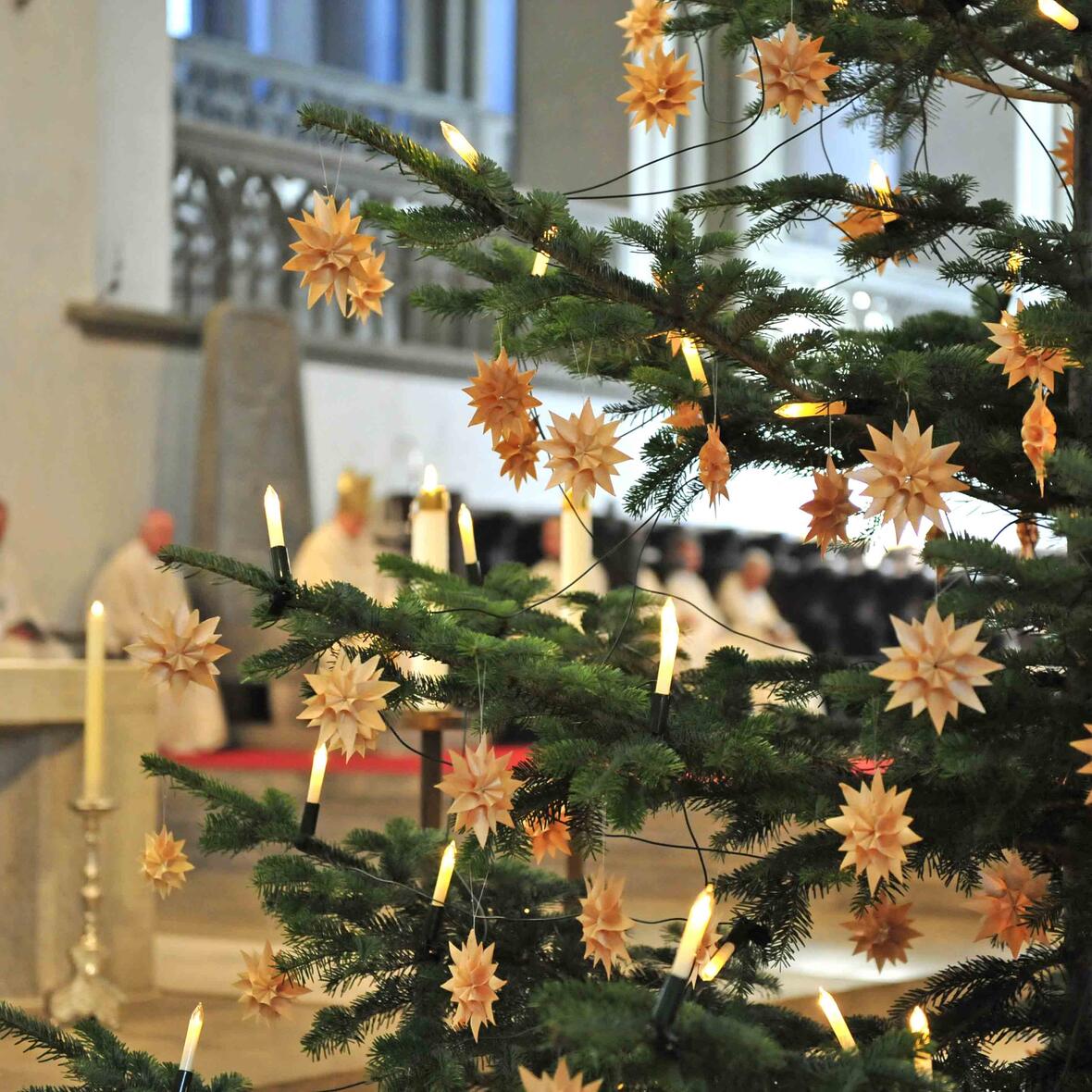 Foto: Nicolas Schnall / pba