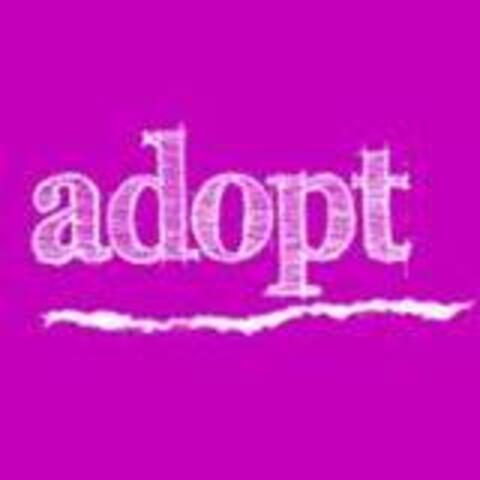 adopt-a-bishop-gebetsaktion-zur-familiensynode1570594