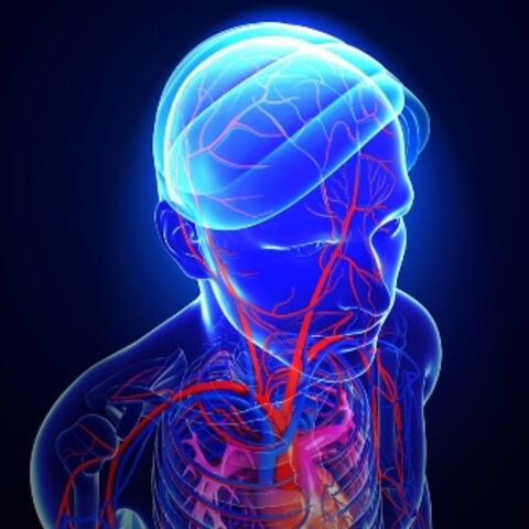 fortschritte-der-biomedizin-und-ethische-fragen-vortrag-im-haus-st-ulrich1479562