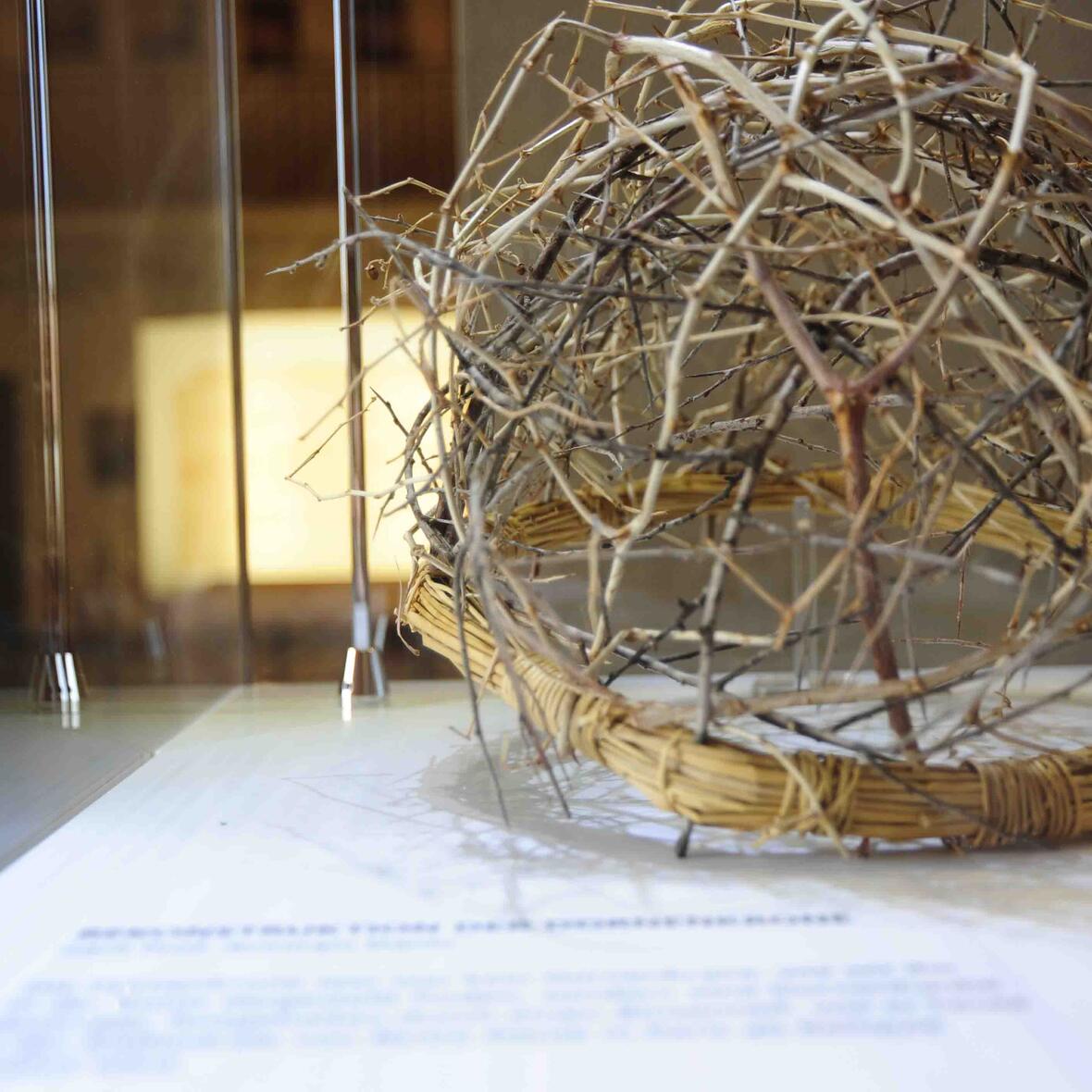 ein-stoff-zum-nachdenken-das-turiner-grabtuch-zwischen-wissenschaft-und-glaube1462670