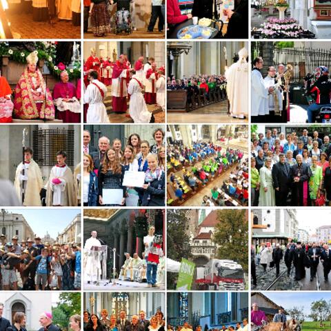 zurueckgeblickt-auf-2014-waehlen-sie-das-bild-des-jahres1376350