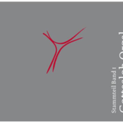 soeben-erschienen-das-orgelbuch-zum-neuen-gotteslob1316488