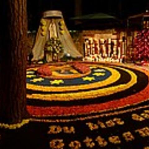 Immer wunderschön: Der Blumenteppich zu Ehren der Gottesmutter in Maria Vesperbild. Foto: Christoph Banacki