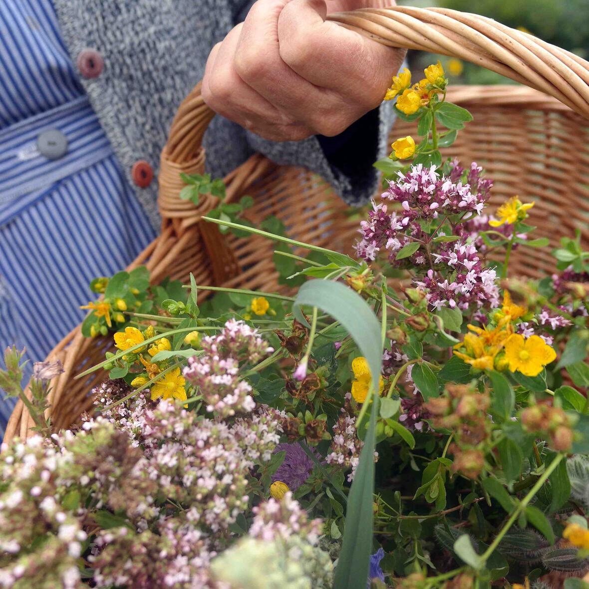 Foto: Maria Steber / pba.