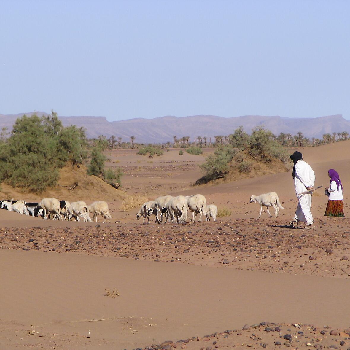 Foto: pfarrbriefservice.de/ Jim Wanderscheid