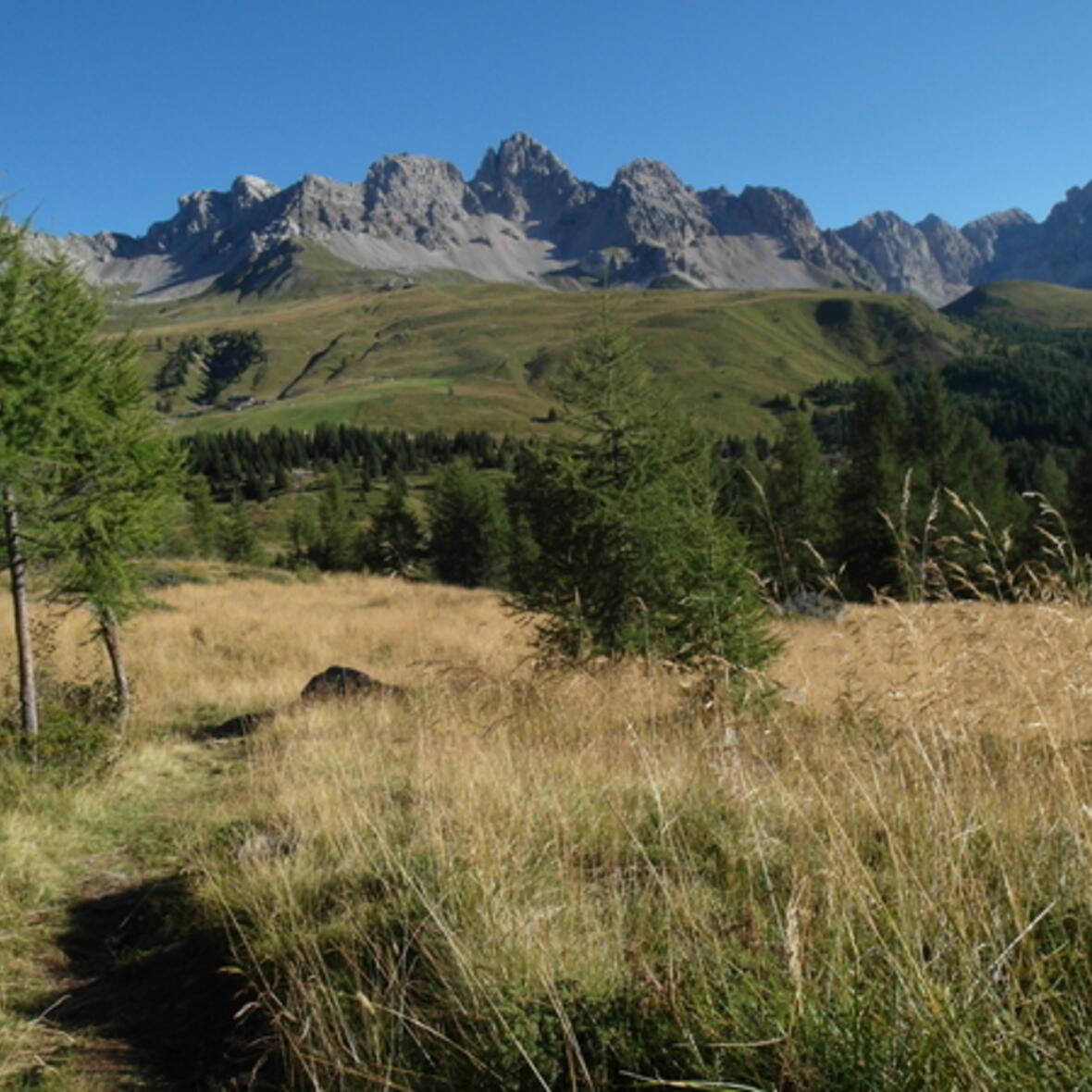 pilgerwanderungen-berg-und-sportexerzitien-veranstaltungen-2014-stehen-ab-sofort-online1122674