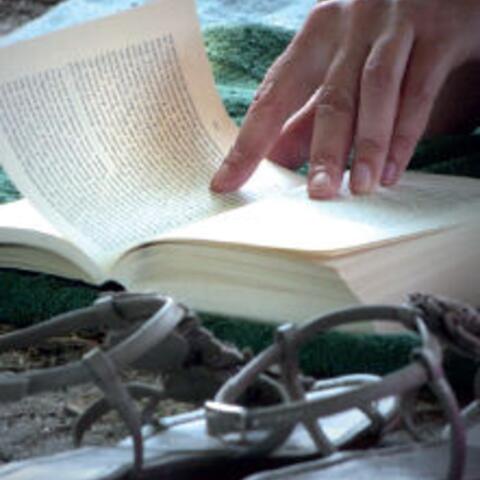 studientag-neuevangelisierung-geht-ich-sende-euch-anmeldeschluss-29-januar1115385