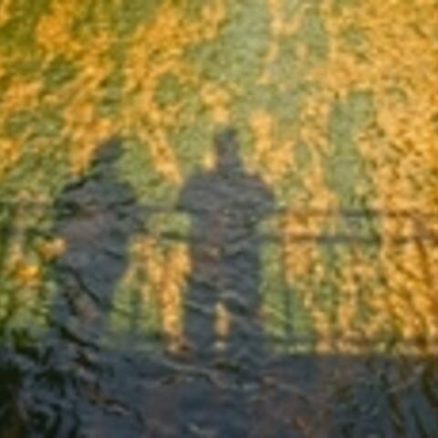 getrennt-aber-nicht-halbiert-seminar-fuer-frauen-und-maenner-in-trennungssituationen-neues-jahresprogramm1026442