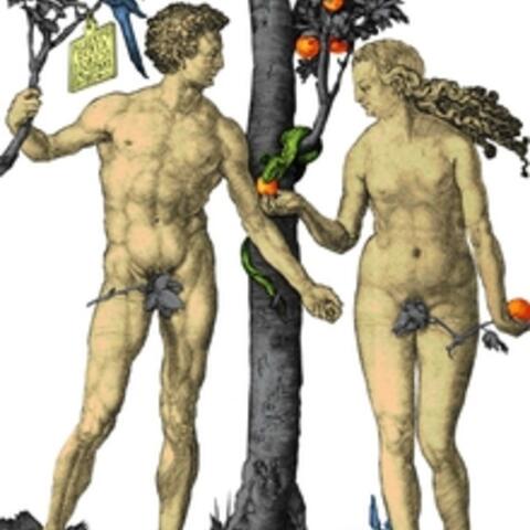 am-sonntag-schliesst-die-duerer-sonderausstellung888565