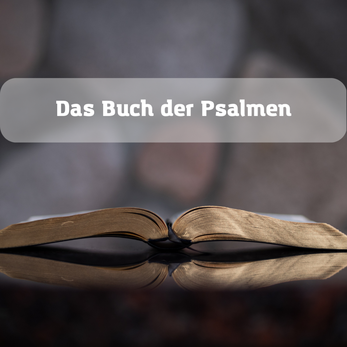 Eine Bibel liegt aufgeschlagen auf dem Tisch. Sie ist überschrieben mit dem Text: Das Buch der Psalmen. 