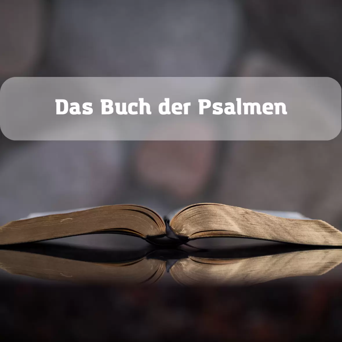Eine Bibel liegt aufgeschlagen auf dem Tisch. Sie ist überschrieben mit dem Text: Das Buch der Psalmen. 