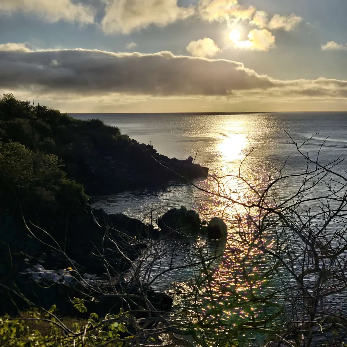 Ausblick auf das Meer mit der untergehenden Sonne auf den Galapagosinseln 