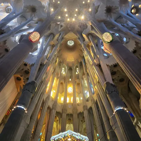 Wie Bäume ragen die Säulen im Inneren der Sagrada Familia nach oben.