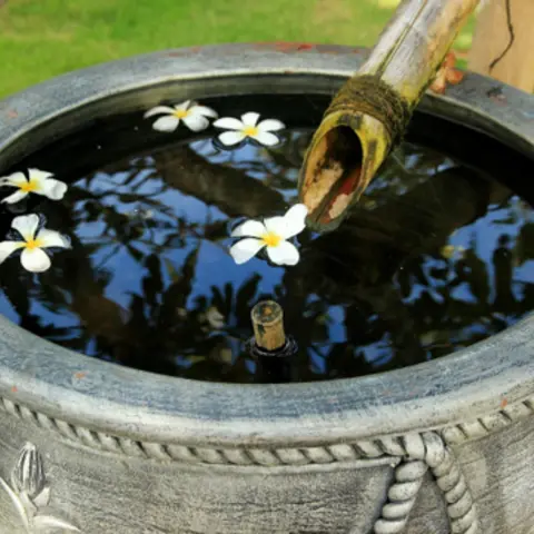 Eine mit Wasser gefüllte Schale, auf der weiß-gelbe Blumen schwimmen; ein Rohr ragt in das Bild 