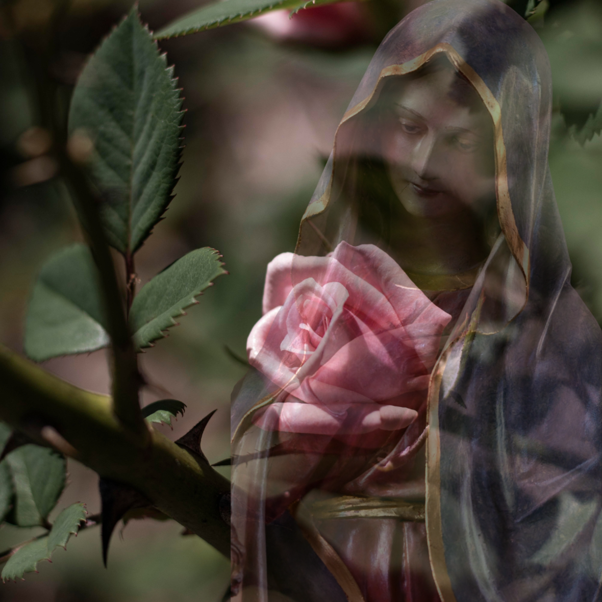 maria_durch_ein_dornwald_ging