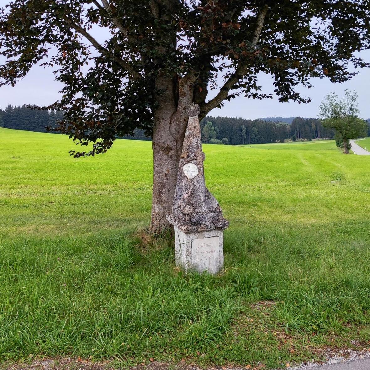 reinfried_das-jahr-ohne-sommer-erntedank