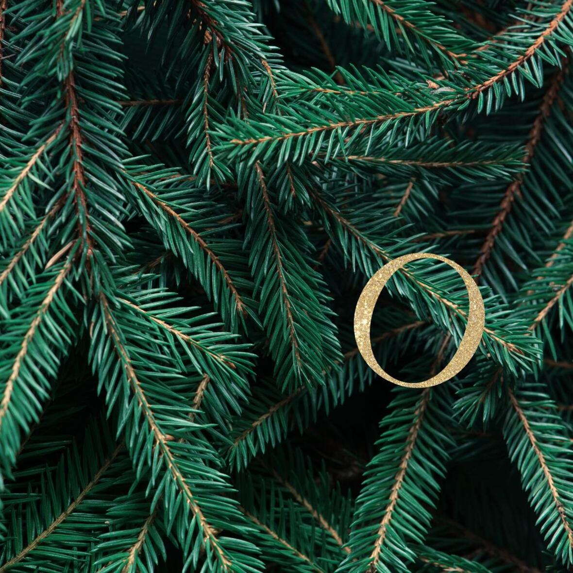 sandra_o-antiphonen-titelbild