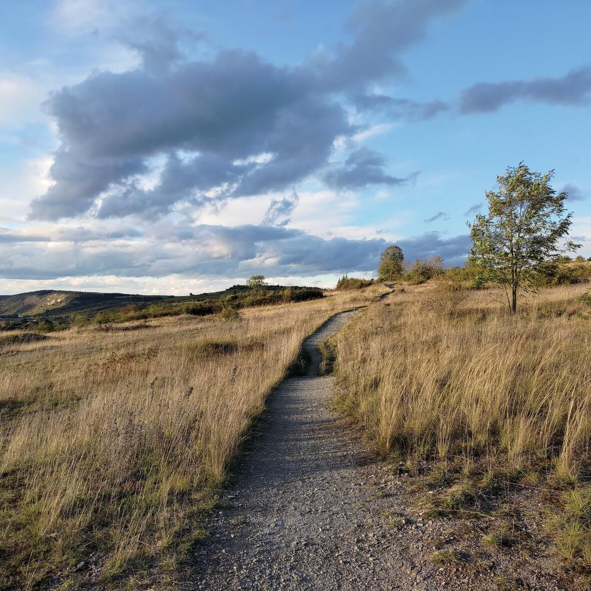 reinfried_himmel-und-erde