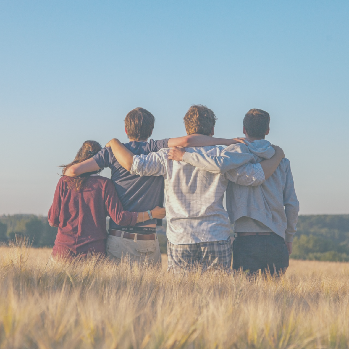 Vier junge Menschen von hinten, die in einem Feld stehen und sich die Arme über die Schultern legen.