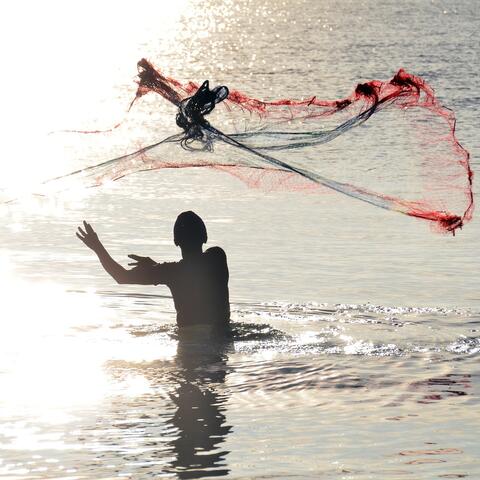 Ein Mann steht bis zum Bauch im Wasser. Er wirft ein Netz in die Luft. Im Wasser spiegeln sich die Sonnenstrahlen. 