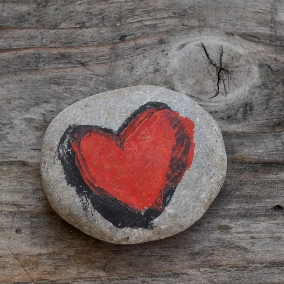 bernhard-falkinger_pixabay